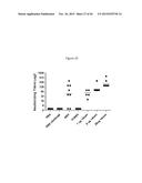 RECOMBINANT NANOPARTICLE RSV F VACCINE FOR RESPIRATORY SYNCYTIAL VIRUS diagram and image