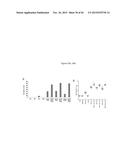 RECOMBINANT NANOPARTICLE RSV F VACCINE FOR RESPIRATORY SYNCYTIAL VIRUS diagram and image