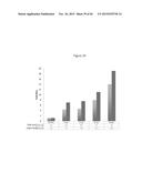 RECOMBINANT NANOPARTICLE RSV F VACCINE FOR RESPIRATORY SYNCYTIAL VIRUS diagram and image