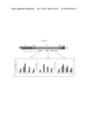 RECOMBINANT NANOPARTICLE RSV F VACCINE FOR RESPIRATORY SYNCYTIAL VIRUS diagram and image