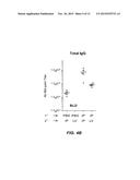 Immunogenic Composition and Methods of Using the Compositions for Inducing     Humoral and Cellular Immune Responses diagram and image