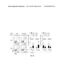 Immunogenic Composition and Methods of Using the Compositions for Inducing     Humoral and Cellular Immune Responses diagram and image