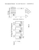 Immunogenic Composition and Methods of Using the Compositions for Inducing     Humoral and Cellular Immune Responses diagram and image