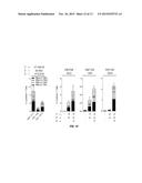 Immunogenic Composition and Methods of Using the Compositions for Inducing     Humoral and Cellular Immune Responses diagram and image