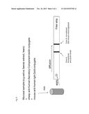 SECRETORY IMMUNOGLOBULIN DEFICIENCY TREATMENT AND PROPHLAXIS diagram and image