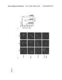 METHODS FOR TREATING INFLAMMATION diagram and image