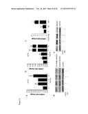 METHODS FOR TREATING INFLAMMATION diagram and image