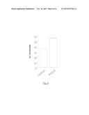 USE OF A PHOTOSENSITIVE AGENT CAPABLE OF PRODUCING REACTIVE OXYGEN SPECIES     IN THE PRODUCTION OF A DRUG FOR THE  PHOTODYNAMIC THERAPY OF A DISEASE     RELATED TO STEM CELLS, IN VITRO USE, AND PHARMACEUTICAL COMPOSITION diagram and image