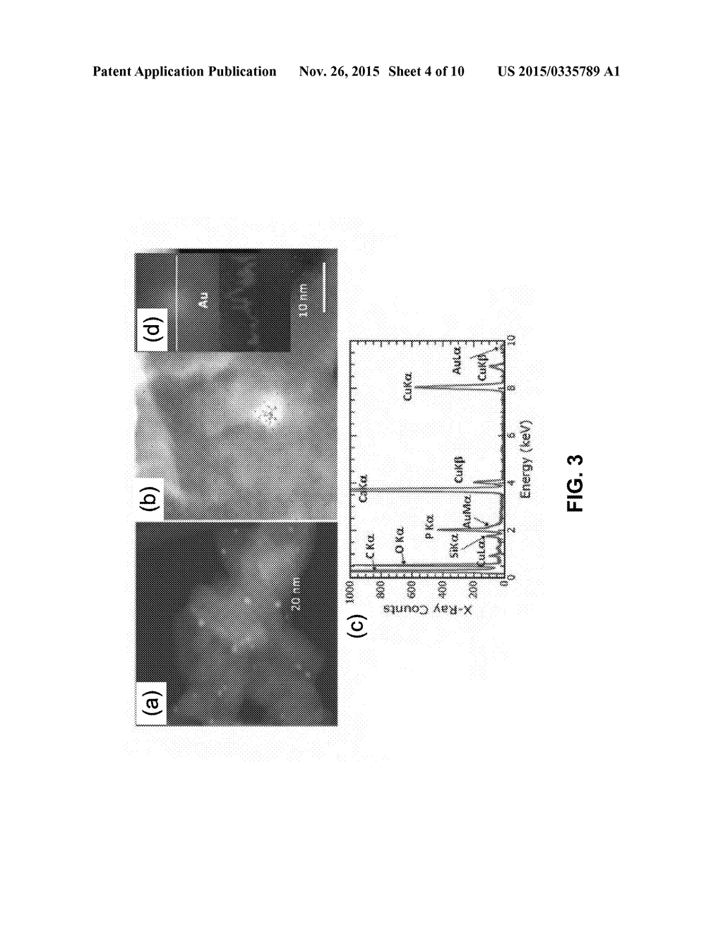 MULTICOMPONENT AND BIOCOMPATIBLE NANOCOMPOSITE MATERIALS, METHODS OF     SYNTHESIZING SAME AND APPLICATIONS OF SAME - diagram, schematic, and image 05