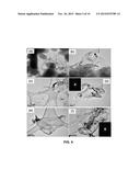 MULTICOMPONENT AND BIOCOMPATIBLE NANOCOMPOSITE MATERIALS, METHODS OF     SYNTHESIZING SAME AND APPLICATIONS OF SAME diagram and image