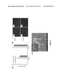 MULTICOMPONENT AND BIOCOMPATIBLE NANOCOMPOSITE MATERIALS, METHODS OF     SYNTHESIZING SAME AND APPLICATIONS OF SAME diagram and image