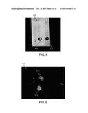 METHODS AND APPARATUS FOR LIPID MULTILAYER PATTERNING diagram and image