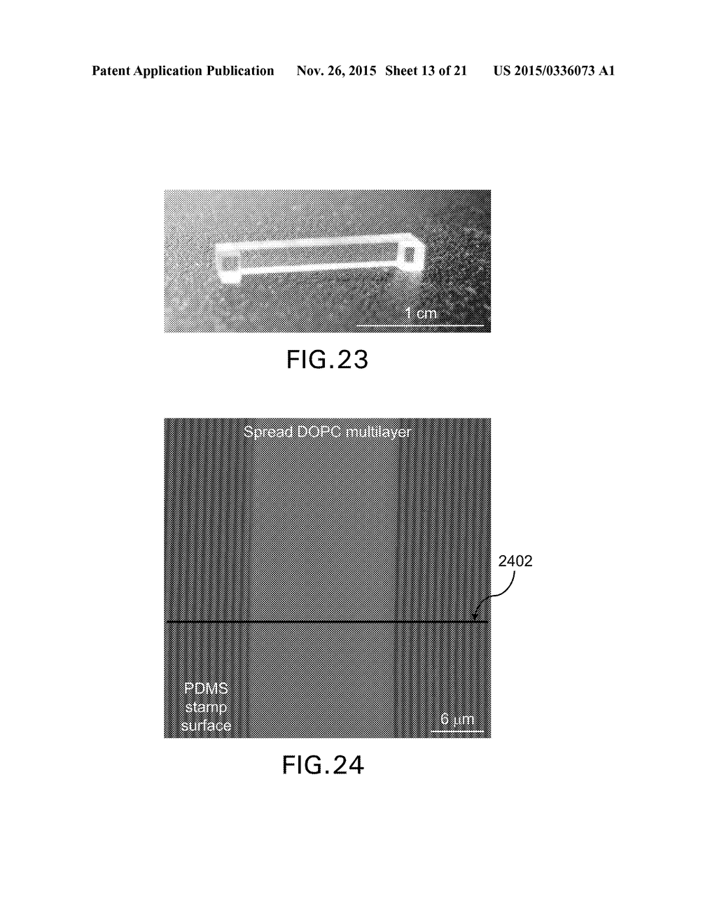 METHODS AND APPARATUS FOR LIPID MULTILAYER PATTERNING - diagram, schematic, and image 14