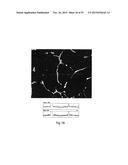 HOMOGENIZATION AND HEAT-TREATMENT OF CAST METALS diagram and image