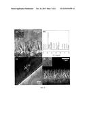 BARIUM TITANATE NANOWIRE THEIR ARRAYS AND ARRAY BASED DEVICES diagram and image