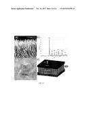 BARIUM TITANATE NANOWIRE THEIR ARRAYS AND ARRAY BASED DEVICES diagram and image