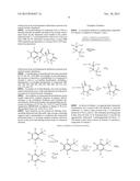 SUBSTITUTED DIOXOPIPERIDINYL PHTHALIMIDE DERIVATIVES diagram and image