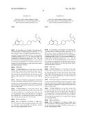 NOVEL BENZODIOXANE-PIPERIDINE DERIVATIVES AND THEIR THERAPEUTIC     APPLICATIONS FOR TREATING NEUROPSYCHIATRIC DISORDERS diagram and image