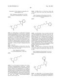 NOVEL BENZODIOXANE-PIPERIDINE DERIVATIVES AND THEIR THERAPEUTIC     APPLICATIONS FOR TREATING NEUROPSYCHIATRIC DISORDERS diagram and image