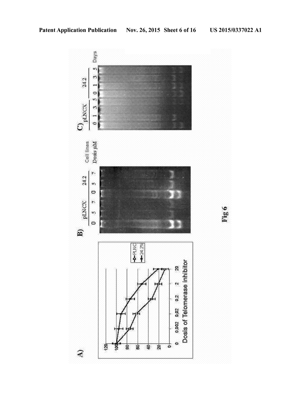 SEQUENCE OF NUCLEOTIDES AND PEPTIDES GSE 24.2 OF DYSKERIN, WHICH CAN     INDUCE TELOMERASE ACTIVITY, METHOD FOR OBTAINING SAME, THERAPEUTIC     COMPOSITIONS AND APPLICATIONS THEREOF - diagram, schematic, and image 07