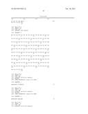 SEQUENCE OF NUCLEOTIDES AND PEPTIDES GSE 24.2 OF DYSKERIN, WHICH CAN     INDUCE TELOMERASE ACTIVITY, METHOD FOR OBTAINING SAME, THERAPEUTIC     COMPOSITIONS AND APPLICATIONS THEREOF diagram and image