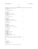 SEQUENCE OF NUCLEOTIDES AND PEPTIDES GSE 24.2 OF DYSKERIN, WHICH CAN     INDUCE TELOMERASE ACTIVITY, METHOD FOR OBTAINING SAME, THERAPEUTIC     COMPOSITIONS AND APPLICATIONS THEREOF diagram and image