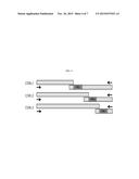 HUMANIZED OR AFFINITY-MATURED ANTI ANG-2 ANTIBODY AND USES THEREOF diagram and image