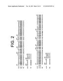 ANTIBODIES TO TNF ALPHA AND USE THEREOF diagram and image