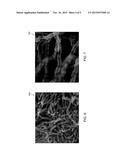 GRAPHENE FUNCTIONALIZED CARBON NANOTUBE POLYMER COMPOSITES AND METHODS FOR     THEIR PREPARATION AND USE diagram and image