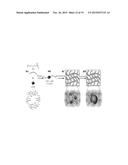 MULTIFUNCTIONAL TUNABLE BIOMATERIALS FOR TISSUE ENGINEERING diagram and image