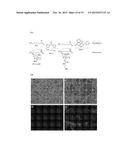 MULTIFUNCTIONAL TUNABLE BIOMATERIALS FOR TISSUE ENGINEERING diagram and image