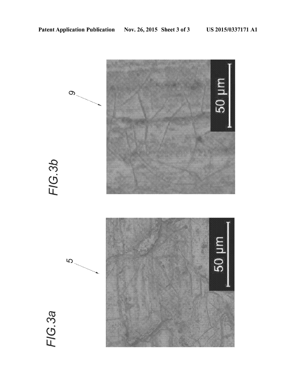 METHOD FOR TREATING THE SURFACE OF A METALLIC SUBSTRATE - diagram, schematic, and image 04