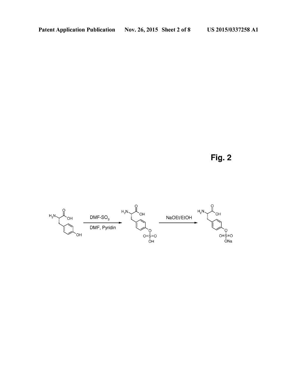 CELL CULTURE MEDIA - diagram, schematic, and image 03