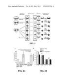 EXTRACELLULAR MATRIX DERIVED FROM STEM CELLS AND METHODS FOR PRODUCTION diagram and image