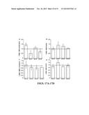 EXTRACELLULAR MATRIX DERIVED FROM STEM CELLS AND METHODS FOR PRODUCTION diagram and image