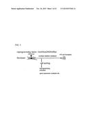 METHOD FOR PRODUCING INDUCED PLURIPOTENT STEM CELLS, CARDIOMYOCYTES OR     PRECURSOR CELLS THEREOF diagram and image