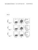 METHOD FOR PRODUCING INDUCED PLURIPOTENT STEM CELLS, CARDIOMYOCYTES OR     PRECURSOR CELLS THEREOF diagram and image