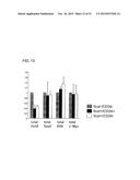 METHOD FOR PRODUCING INDUCED PLURIPOTENT STEM CELLS, CARDIOMYOCYTES OR     PRECURSOR CELLS THEREOF diagram and image