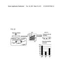 METHOD FOR PRODUCING INDUCED PLURIPOTENT STEM CELLS, CARDIOMYOCYTES OR     PRECURSOR CELLS THEREOF diagram and image