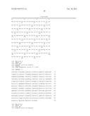 KETOREDUCTASE POLYPEPTIDES FOR THE PRODUCTION OF AZETIDINONE diagram and image