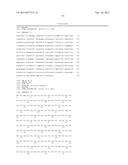 KETOREDUCTASE POLYPEPTIDES FOR THE PRODUCTION OF AZETIDINONE diagram and image