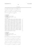 KETOREDUCTASE POLYPEPTIDES FOR THE PRODUCTION OF AZETIDINONE diagram and image