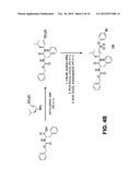 CATHEPSIN L INHIBITORS AND PROBES COMPRISING VINYL SULFONATE MOIETY AND     METHODS OF USING SAME diagram and image