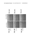 CATHEPSIN L INHIBITORS AND PROBES COMPRISING VINYL SULFONATE MOIETY AND     METHODS OF USING SAME diagram and image