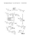 CATHEPSIN L INHIBITORS AND PROBES COMPRISING VINYL SULFONATE MOIETY AND     METHODS OF USING SAME diagram and image