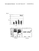 METHOD OF PRODUCING SECRETABLE ANTIBODIES BY EXPRESSION IN SACCHAROMYCES     CEREVISIAE diagram and image