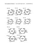 METHOD OF PRODUCING SECRETABLE ANTIBODIES BY EXPRESSION IN SACCHAROMYCES     CEREVISIAE diagram and image