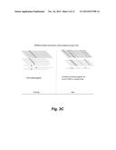 HAPLOIDOME DETERMINATION BY DIGITIZED TRANSPOSONS diagram and image