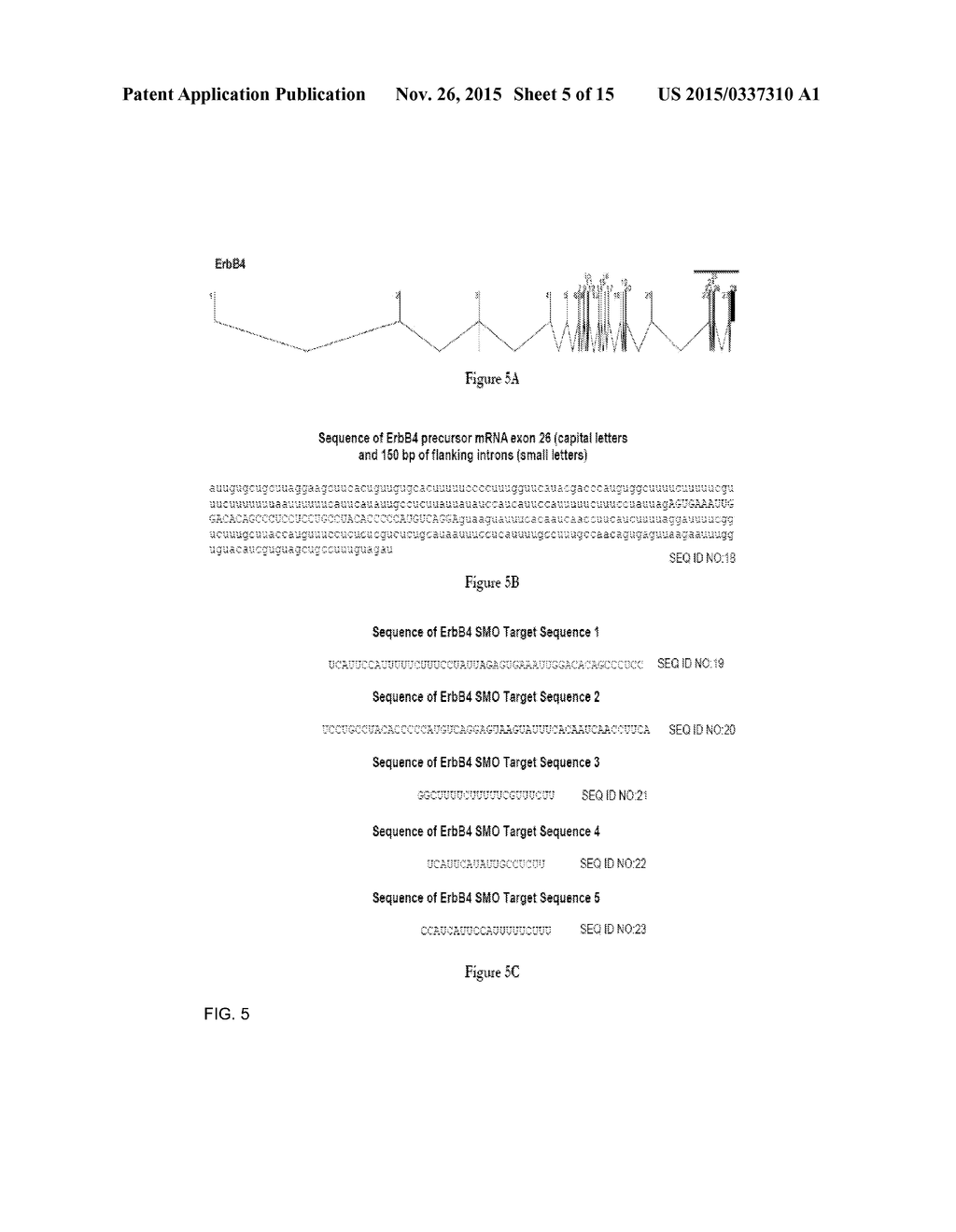 SPLICE MODULATING OLIGONUCLEOTIDES THAT INHIBIT CANCER - diagram, schematic, and image 06