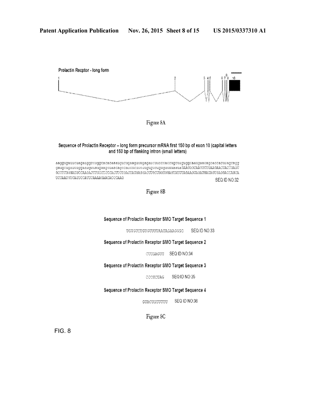 SPLICE MODULATING OLIGONUCLEOTIDES THAT INHIBIT CANCER - diagram, schematic, and image 09